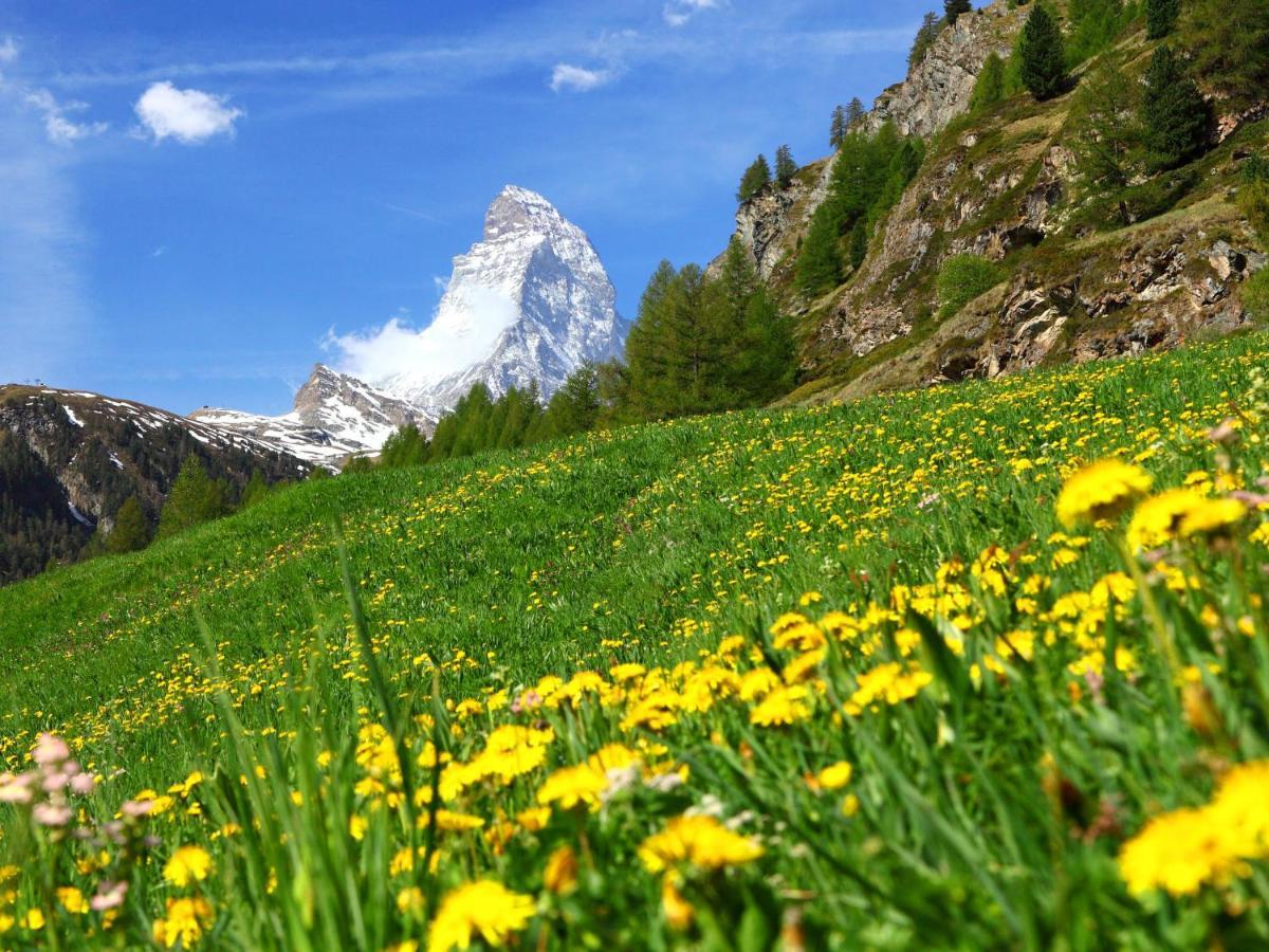 Apartment Aquila By Interhome Zermatt Esterno foto