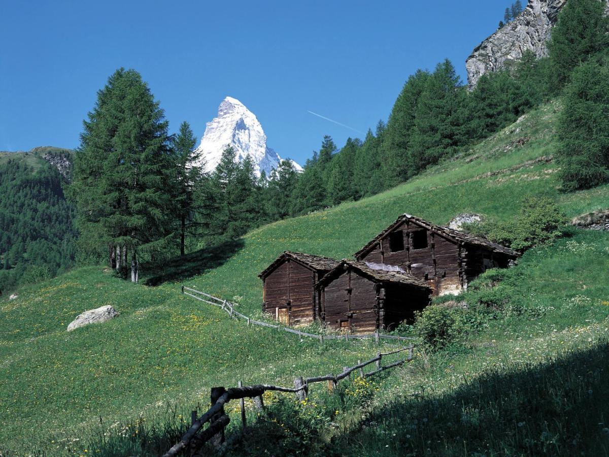 Apartment Aquila By Interhome Zermatt Esterno foto
